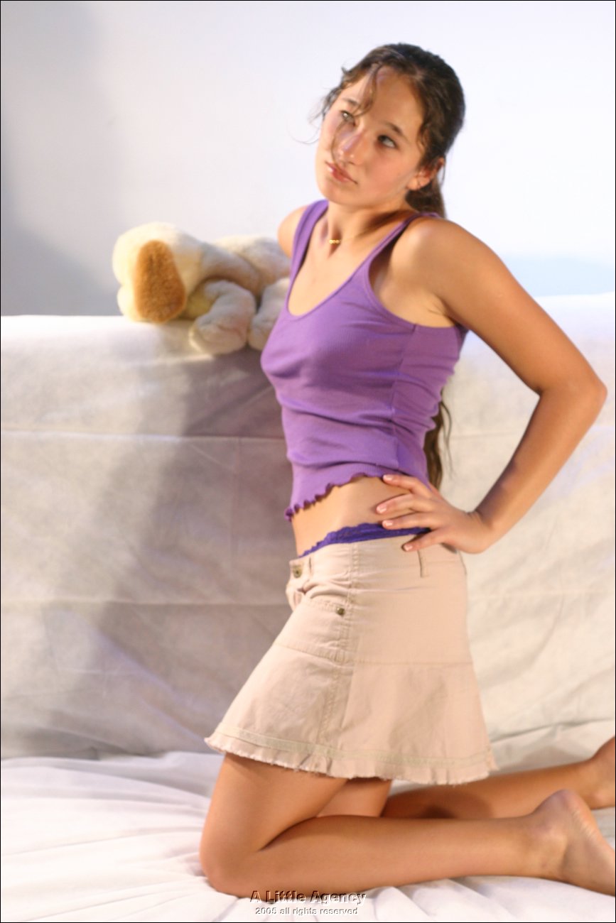 Laney-Model