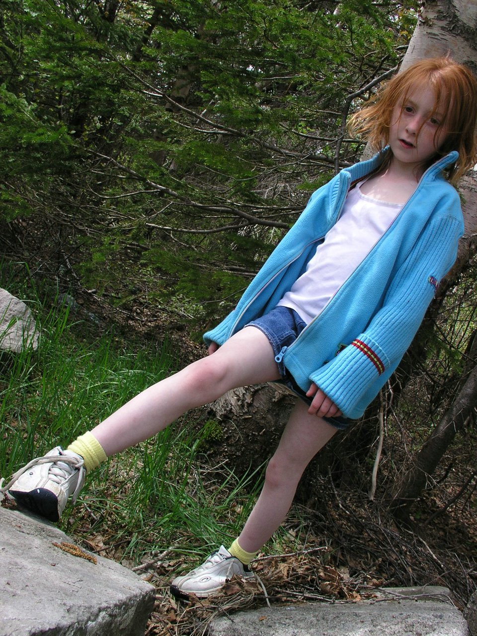 Breeze-Model